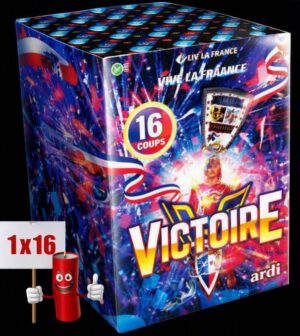 Victoire 16 shot 25mm firework