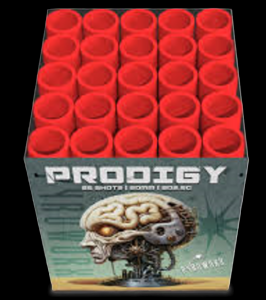 Prodigy 25 shot firework